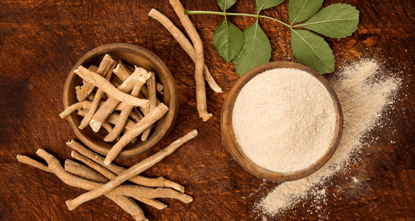 Discover the Time Tested Benefits of Ashwagandha in Traditional Ayurvedic Medicine